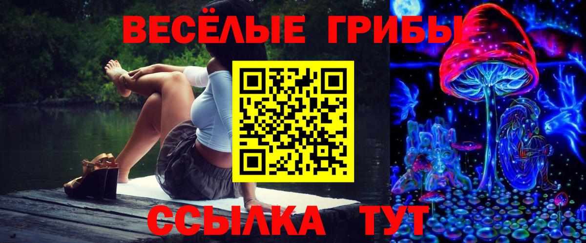 Псилоцибиновые грибы мицелий  Вход с VPN  Ульяновск 