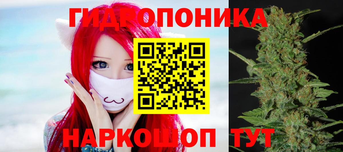 Шишки марихуана VHQ  Бошки марихуана сатива  Шишки марихуана THC 21%  Ульяновск  Вход с VPN 